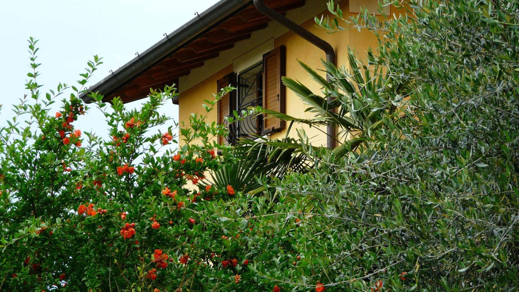 Albergo Le Piante Manerba del Garda Exterior photo